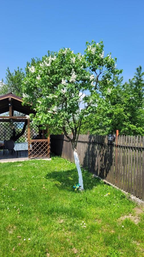 Casa Dana Villa Rîşnov Kültér fotó